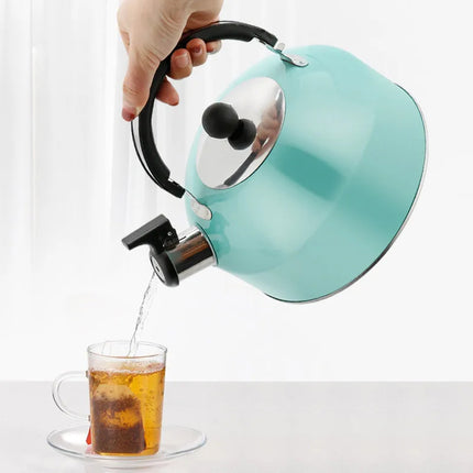 SAMA 3L Stainless Steel Whistling Kettle for Gas – Comfortable Handle